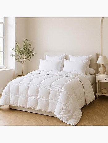 Couette Attraction - Légère - DUNLOPILLO