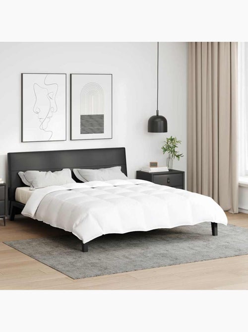 Couette d’été simple garnissage plumes duvet - vidaxl - Kiabi Couette d’été simple garnissage plumes duvet - vidaxl - Kiabi