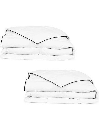 Couette d’hiver 2 pièces en microfibre garnissage duvet d’oie - vidaxl