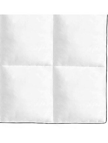 Couette d’hiver 2 pièces en microfibre garnissage duvet d’oie - vidaxl