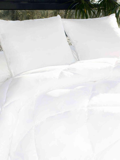 Couette haute lavabilité 95°C - Kiabi