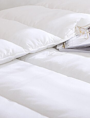 Couette Hiver 550g Someo