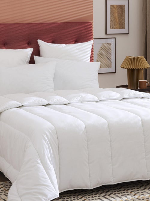 Couette Hiver 550g Someo - Kiabi