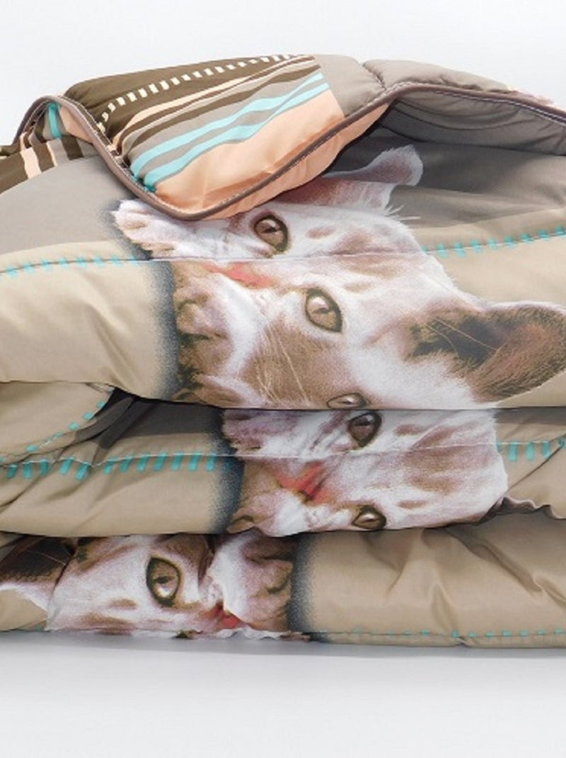 Couette Légère Chat Marron - Kiabi