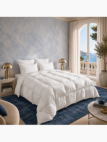 Couette naturelle 40% duvet de canard - tempérée - dodo