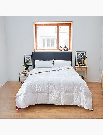 Couette Nordique premium 96% Duvet Hiver
