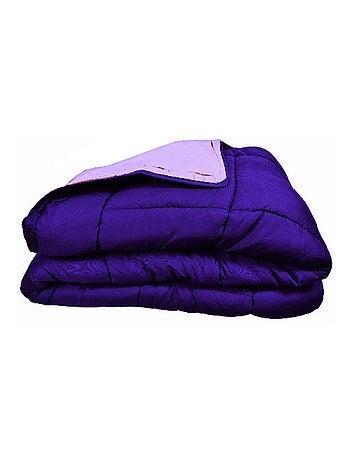 Couette chaude microfibre bicolore 400 gr/m2