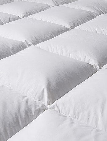 Couette thermoduv oie - 90% duvet - chaude - dodo