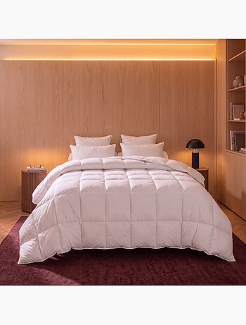 Couette tradition canard - 50% duvet de canard - tempérée - dodo