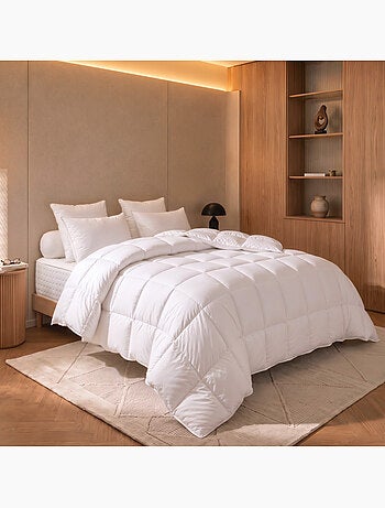 Couette tradition canard - 90% duvet - chaude - dodo