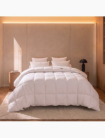 Couette tradition canard - 90% duvet - chaude - dodo
