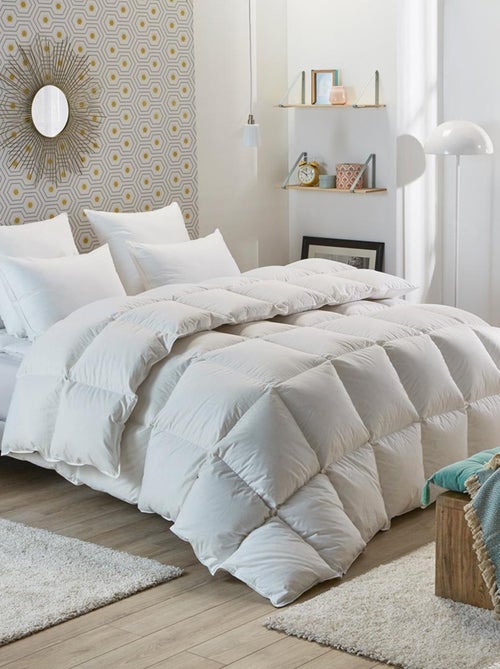 Couette Tradition CHAUDE - 50% Duvet de Canard - DODO - Kiabi Couette Tradition CHAUDE - 50% Duvet de Canard - DODO - Kiabi