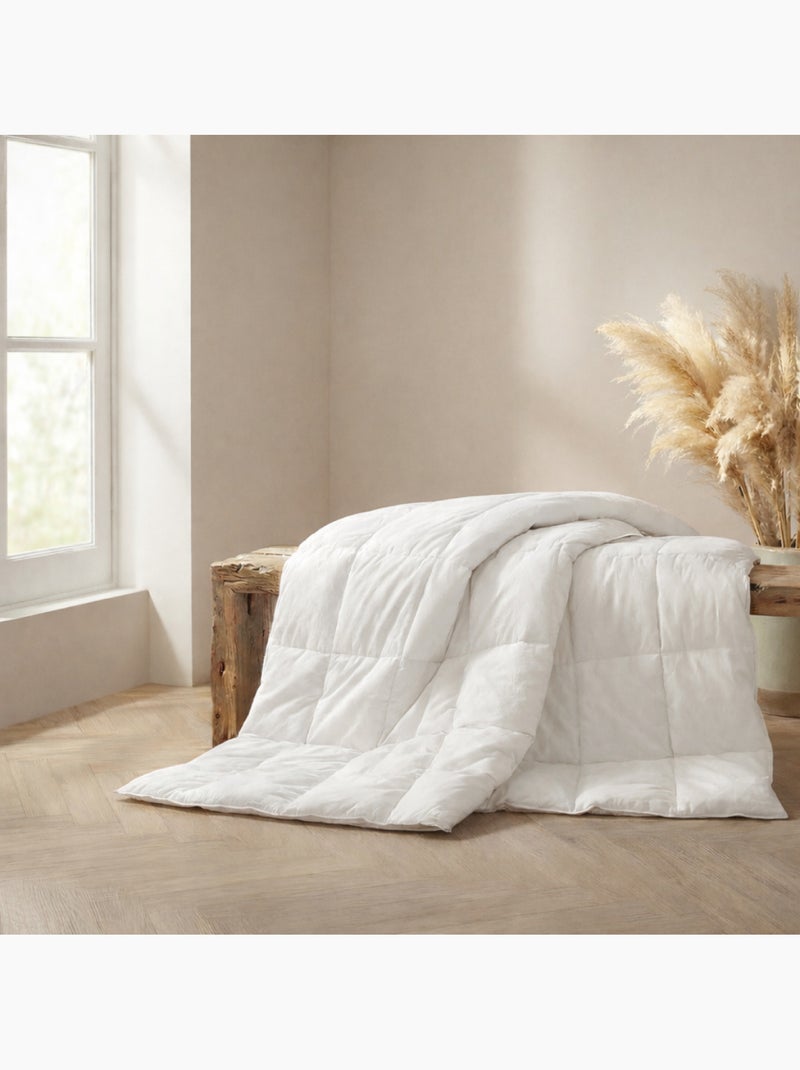 Couette Tradition LEGERE - 70% Duvet d'Oie - DODO Blanc - Kiabi