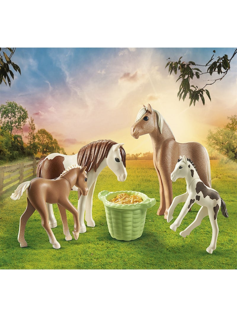 Country 2 poneys islandais et poulains N/A - Kiabi