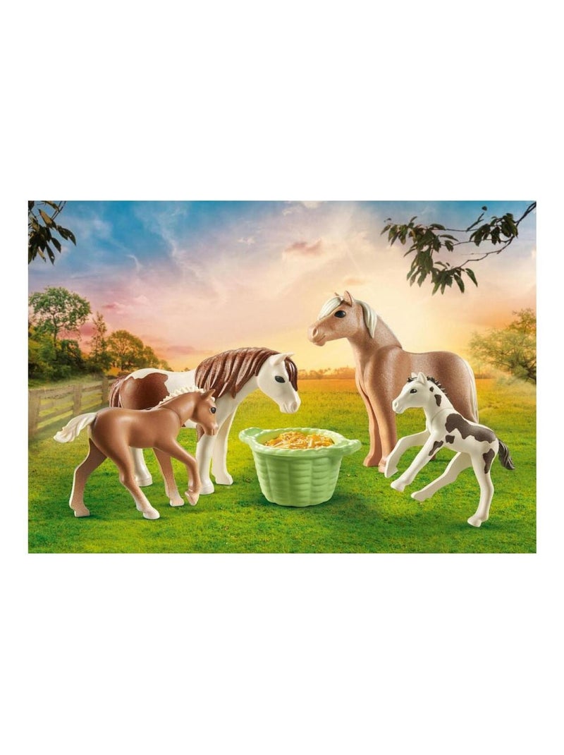 Country 2 poneys islandais et poulains N/A - Kiabi