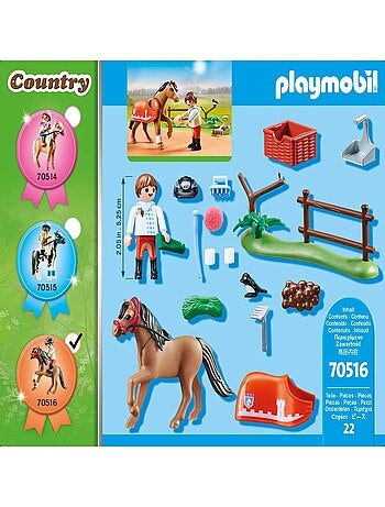 Country Poney de collection du Connemara