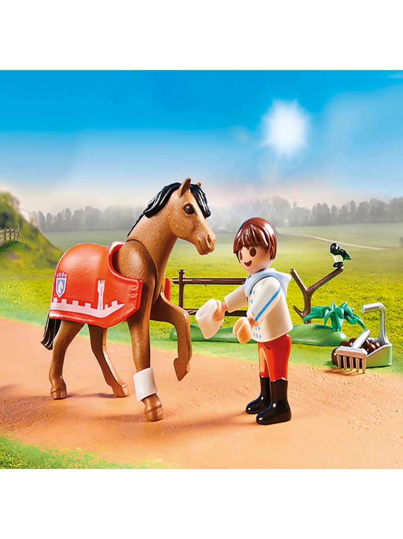 Country Poney de collection du Connemara N/A - Kiabi