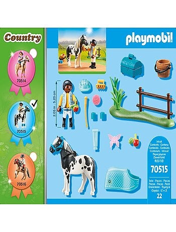 Country Poney Lewitzer à collectionner