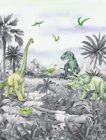 Coussin - dinosaures noir et blanc - 40x40 cm