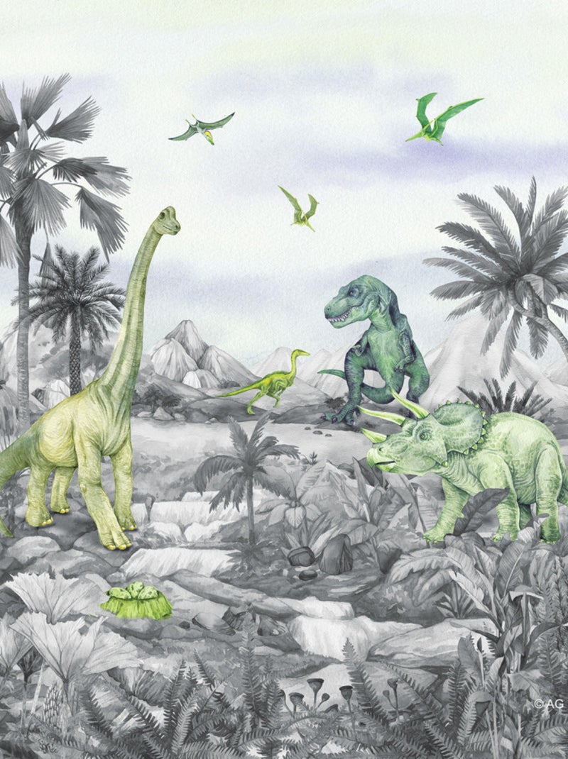 Coussin - dinosaures noir et blanc - 40x40 cm Multicolore - Kiabi