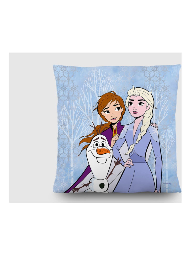 Coussin - Disney La Reine des Neiges 2 - modèle : Dessin 40x40 cm Multicolore - Kiabi