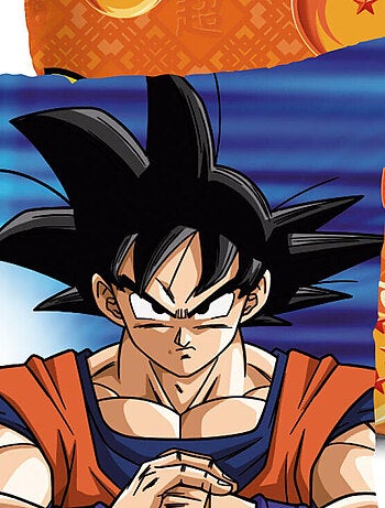 Coussin - Dragon Ball Z - Son Goku et Vegeta - 40x40cm