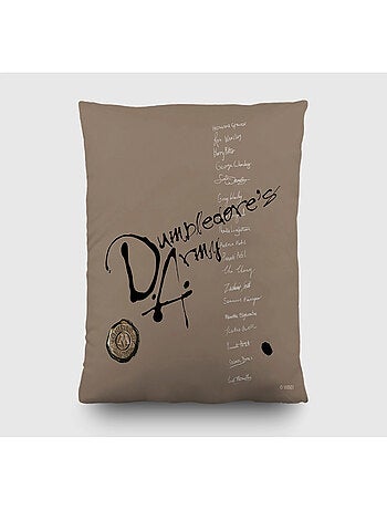 Coussin - Harry Potter avec Hermione et Ron - 40x40 cm