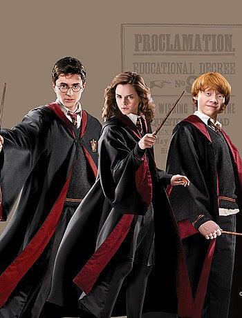 Coussin - Harry Potter avec Hermione et Ron - 40x40 cm