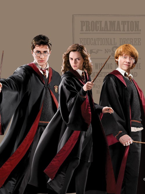 Coussin - Harry Potter avec Hermione et Ron - 40x40 cm - Kiabi