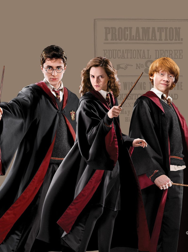 Coussin - Harry Potter avec Hermione et Ron - 40x40 cm Multicolore - Kiabi