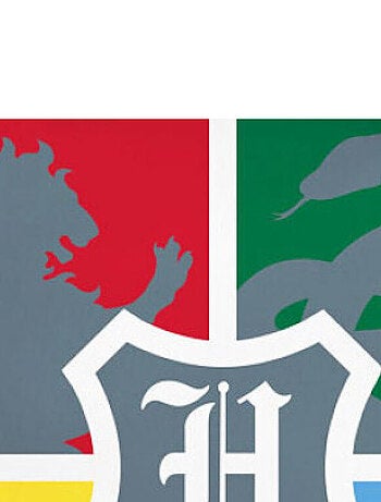 Coussin - Harry Potter, les 4 maisons rouge, vert, jaune, bleu - 40cm x 40cm