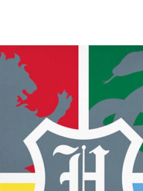 Coussin - Harry Potter, les 4 maisons rouge, vert, jaune, bleu - 40cm x 40cm - Kiabi