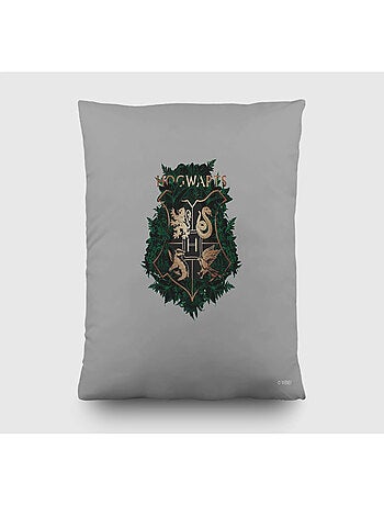 Coussin - Harry Potter Quidditch 3 personnages - 40x40 cm