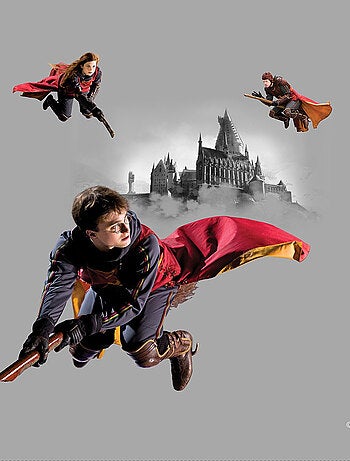 Coussin - Harry Potter Quidditch 3 personnages - 40x40 cm