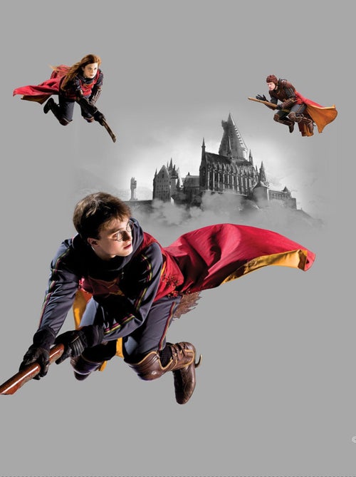 Coussin - Harry Potter Quidditch 3 personnages - 40x40 cm - Kiabi