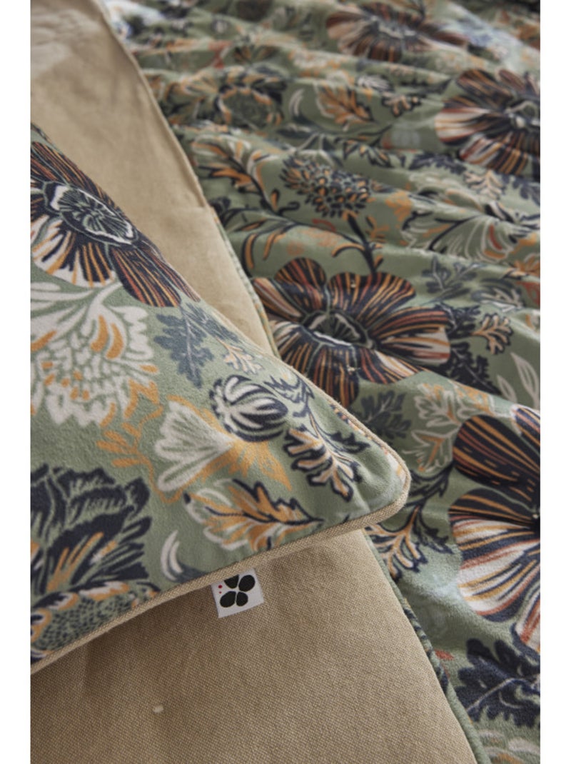 Coussin - L'effet papillon Multicolore - Kiabi