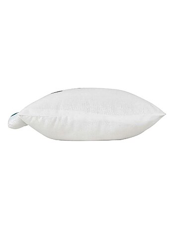 Coussin 40x40 cm Igloo coton