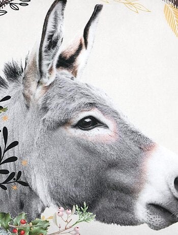 Coussin 40x40 cm PENNY Gris