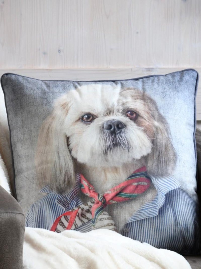 Coussin 45x45 cm BRADFORD Chien Gris - Kiabi