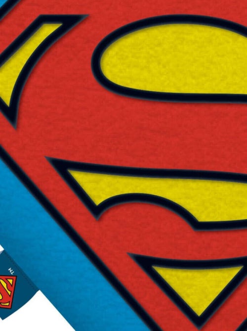Coussin Brodé En Forme Triangle - SUPERMAN - Kiabi Coussin Brodé En Forme Triangle - SUPERMAN - Kiabi