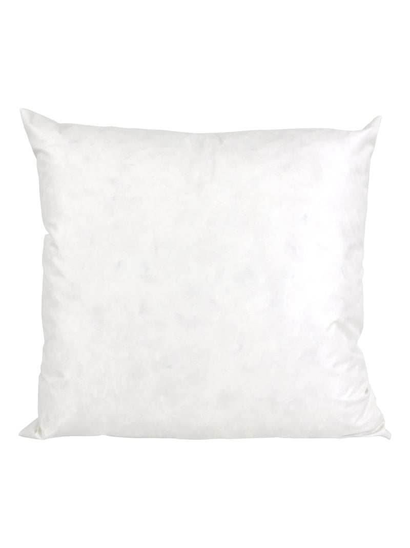 Coussin C Plumes à recouvrir Plumettes de canards Blanc - Kiabi