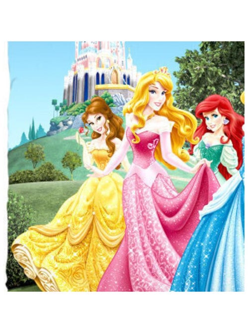 Coussin Château Princesses 2 faces Disney 40x40 cm - Kiabi