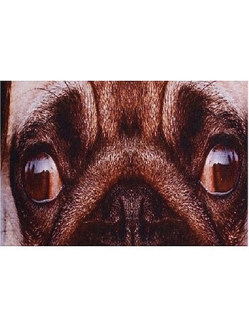 Coussin Chien Carlin