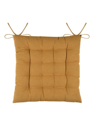 Coussin de chaise