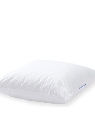 Coussin de garnissage plumes pour canapé en coton blanc 40 x 40 cm