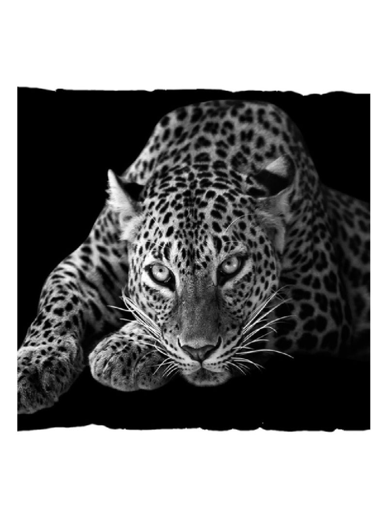 Coussin de sol ou Matelas de sol pompons Kiva le jaguar Noir - Kiabi