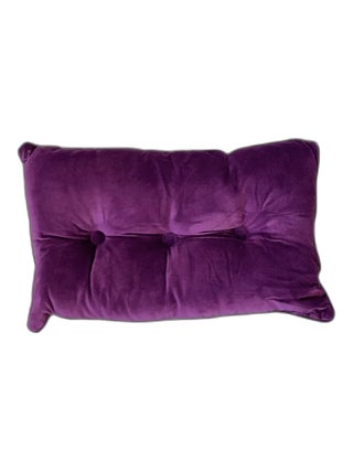 Coussin Décoratif En Velours
