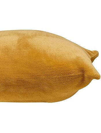 Coussin déhoussable ollis