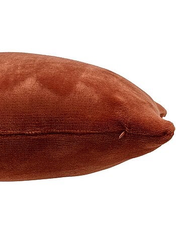 Coussin déhoussable ollis
