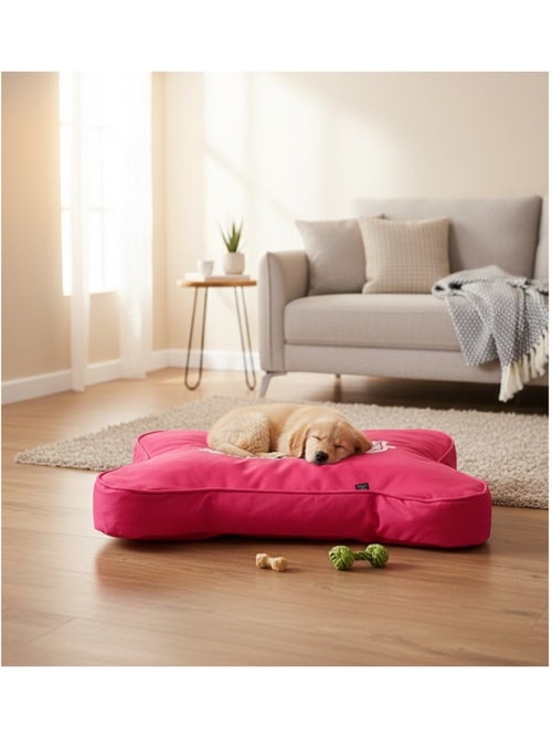 Coussin déhoussable pour chien en forme d'os - Kiabi Coussin déhoussable pour chien en forme d'os - Kiabi